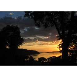 Dźwięki natury (płyta CD)- "Ptaki"